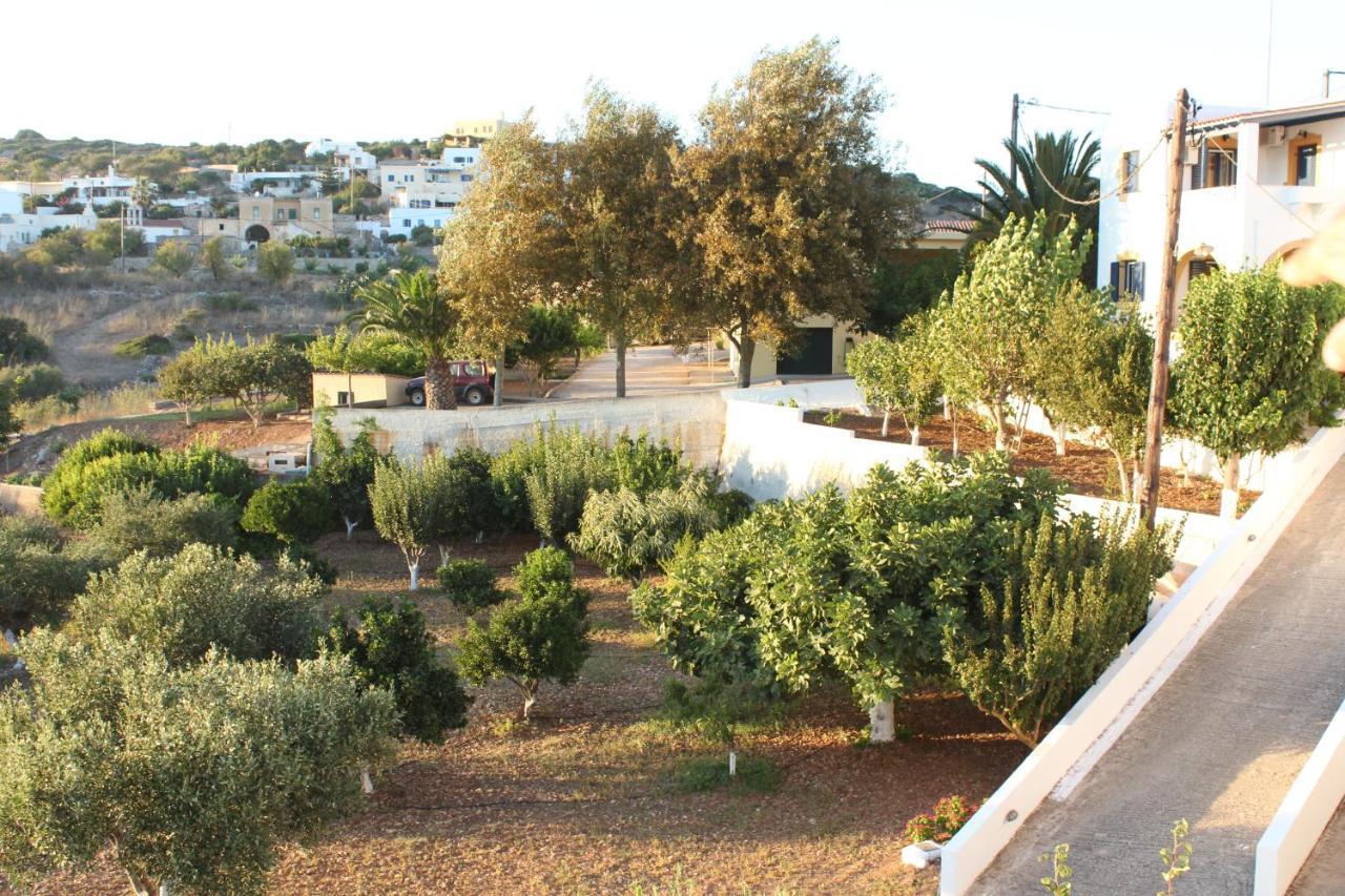 Theofilos Appartements Livadi  Dış mekan fotoğraf
