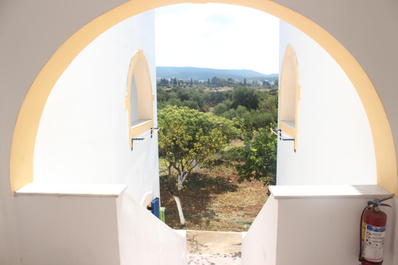 Theofilos Appartements Livadi  Dış mekan fotoğraf