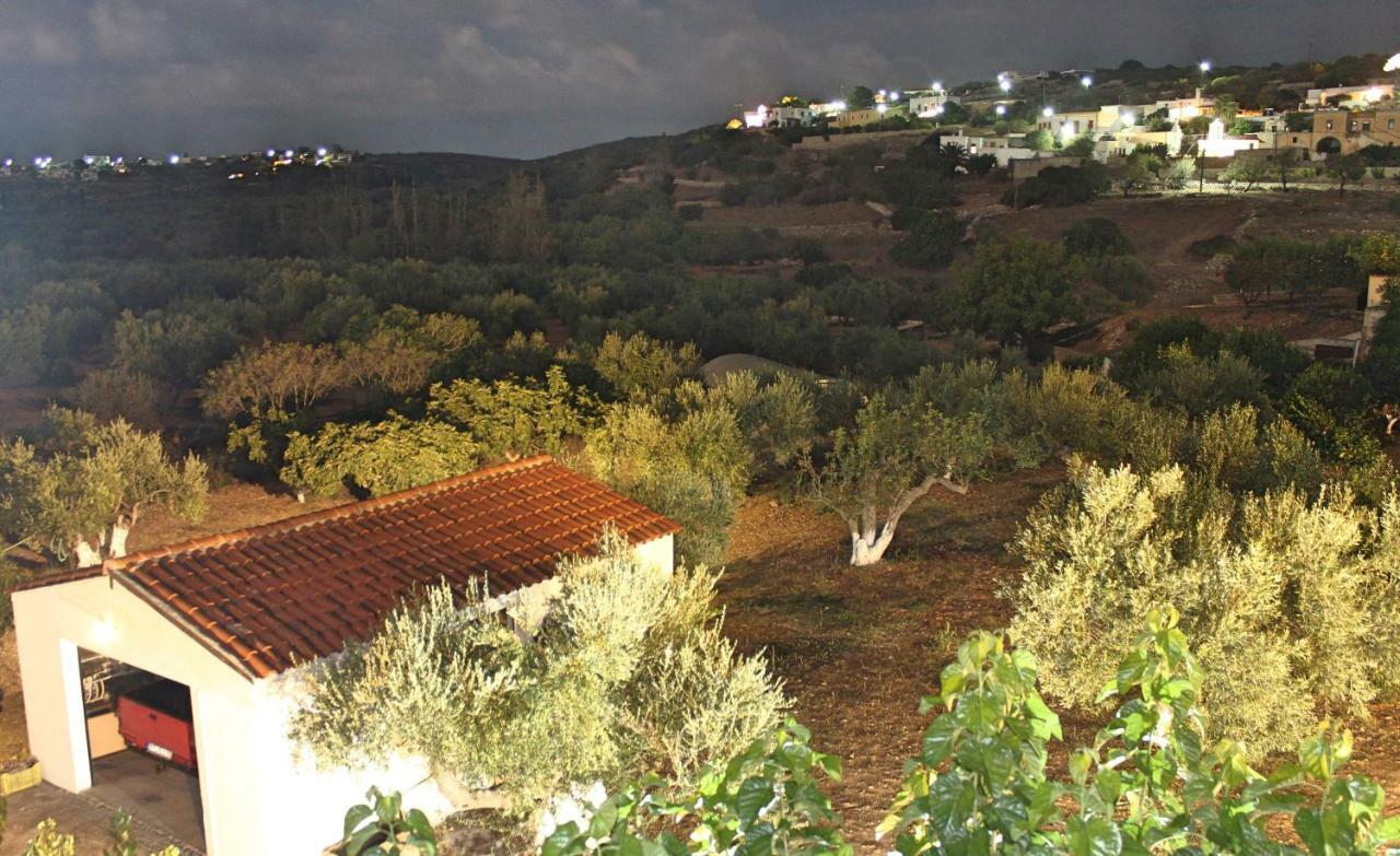 Theofilos Appartements Livadi  Dış mekan fotoğraf