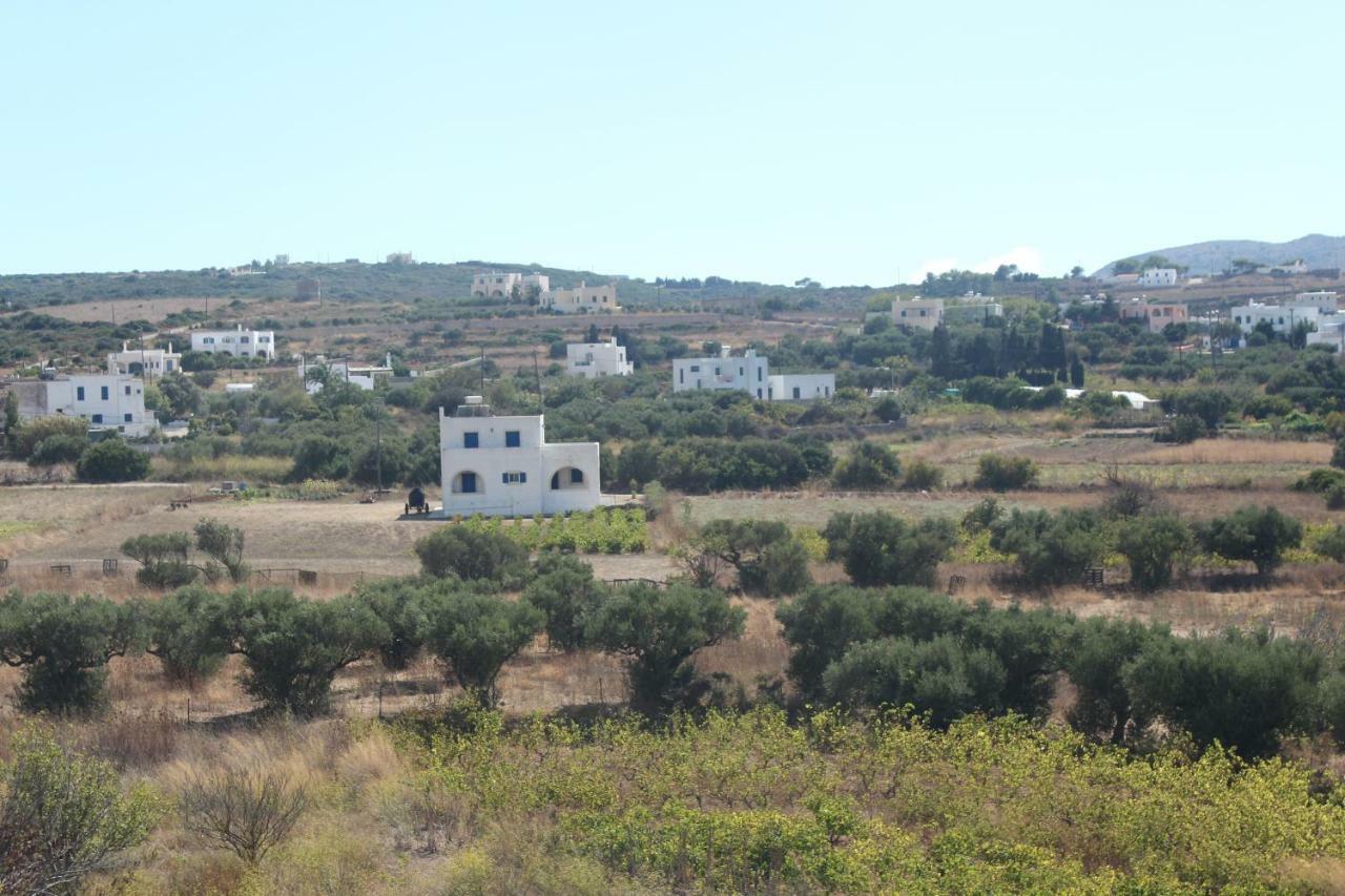 Theofilos Appartements Livadi  Dış mekan fotoğraf